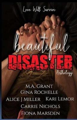 Book cover for Beautiful Disaster Anthology