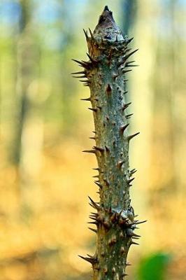 Book cover for Devil's Walking Stick Plant Journal