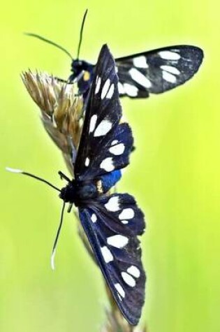 Cover of Nine Spotted Moth, for the Love of Nature