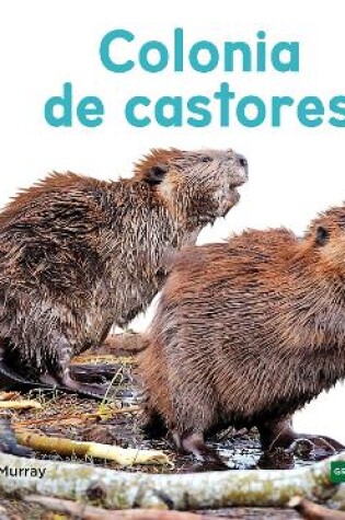 Cover of Colonia de castores (Beaver Colony)