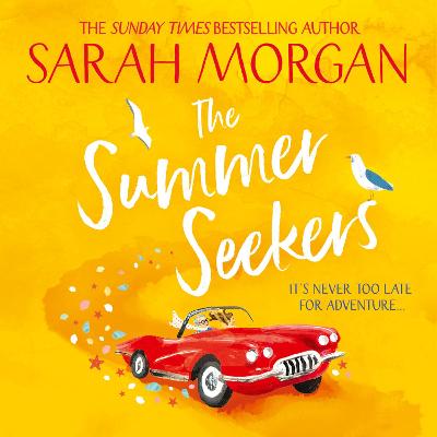 Book cover for The Summer Seekers