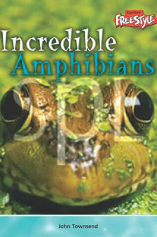 Cover of Amphibians Paperback