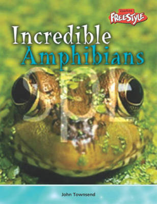 Book cover for Incredible Creatures: Amphibians Paperback