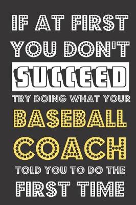 Book cover for If At First You Don't Succeed Try Doing What Your Baseball Coach Told You To Do The First Time