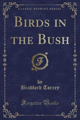 Book cover for Birds in the Bush (Classic Reprint)