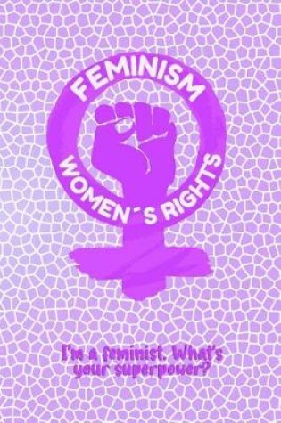 Cover of Feminism Women's Right