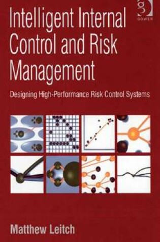 Cover of Intelligent Internal Control and Risk Management