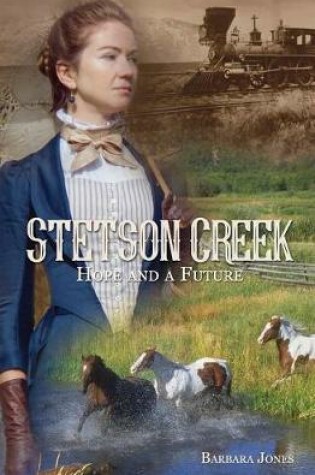 Cover of Stetson Creek