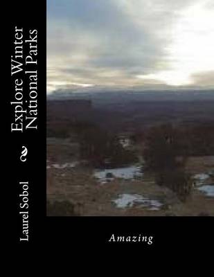 Book cover for Explore Winter National Parks