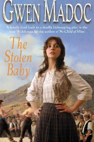 Cover of The Stolen Baby