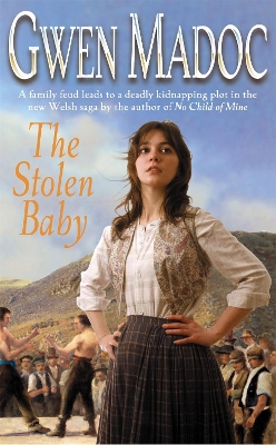 Book cover for The Stolen Baby