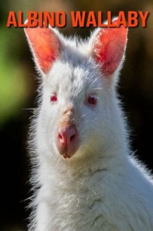 Cover of Albino Wallaby