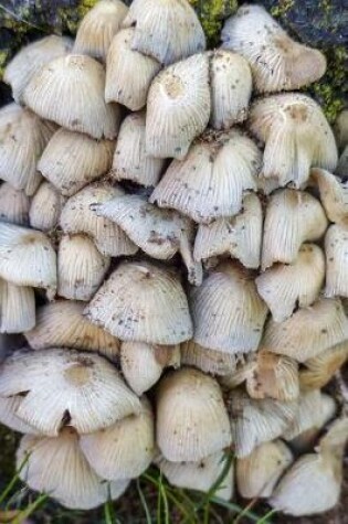 Cover of Mushrooms Cluster or The Fungus Among Us Journal
