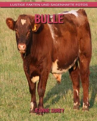 Book cover for Bulle