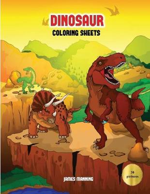 Book cover for Dinosaur Coloring Sheets