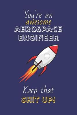 Book cover for You're An Awesome Aerospace Engineer Keep That Shit Up!