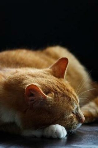 Cover of Sleeping Orange Cat Cute Pet Journal