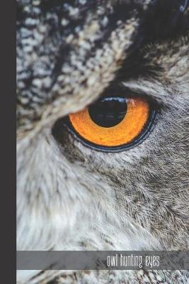 Book cover for owl hunting eyes