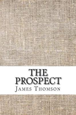 Book cover for The prospect