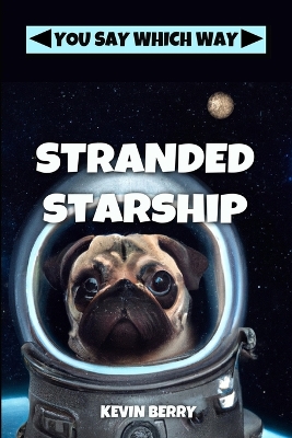 Book cover for Stranded Starship