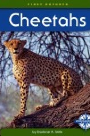 Cover of Cheetahs