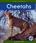 Book cover for Cheetahs