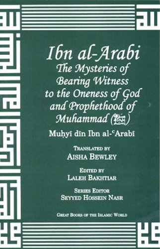 Book cover for Ibn Arabi Mysteries of Bearing Witness