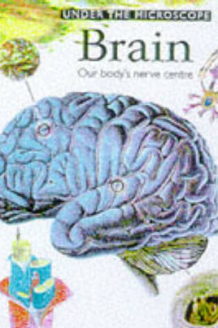 Cover of Brain