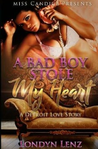 Cover of A Bad Boy Stole My Heart