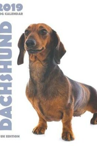 Cover of Dachshund 2019 Dog Calendar (UK Edition)