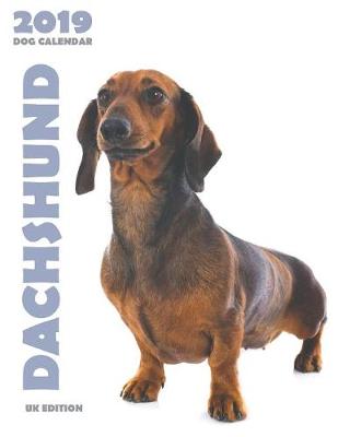 Book cover for Dachshund 2019 Dog Calendar (UK Edition)