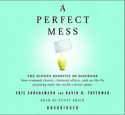 Book cover for A Perfect Mess