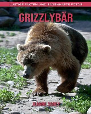 Book cover for Grizzlybär