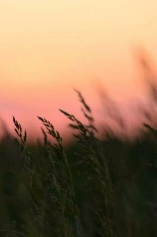 Cover of Corn Field Notebook