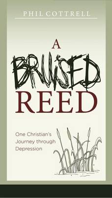 Book cover for A Bruised Reed