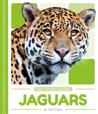 Book cover for Jaguars