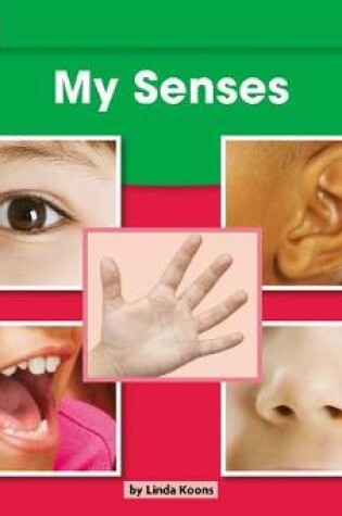 Cover of My Senses Leveled Text