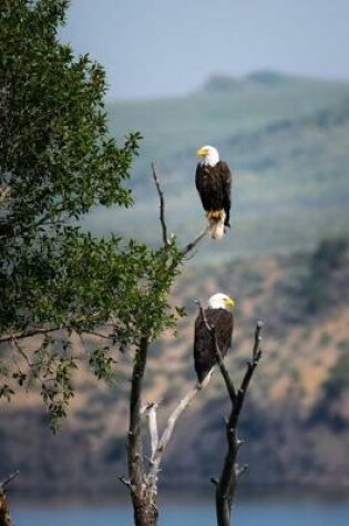 Cover of A Pair of Bald Eagles in a Tree in Alaska Journal