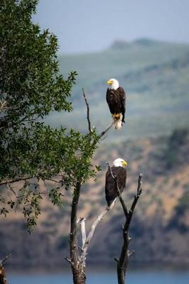 Book cover for A Pair of Bald Eagles in a Tree in Alaska Journal