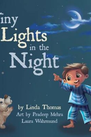 Cover of Tiny Lights in the Night