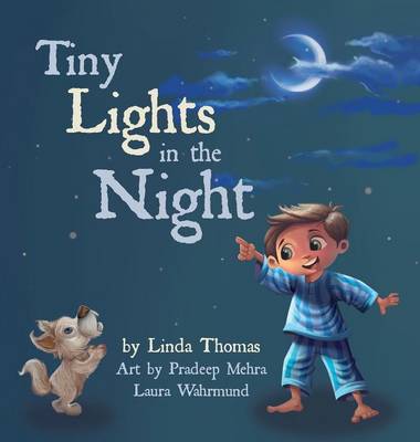 Book cover for Tiny Lights in the Night