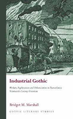 Book cover for Industrial Gothic