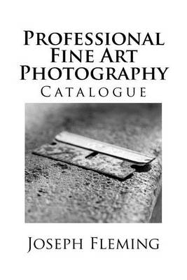 Book cover for Professional Fine Art Photography