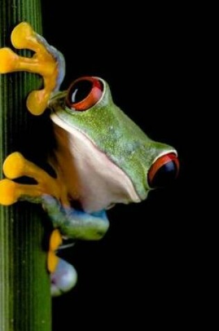 Cover of Say Hello to the Red-Eyed Tree Frog Journal