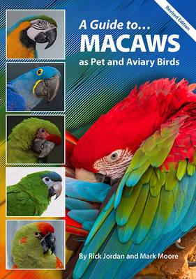 Book cover for A Guide to Macaws