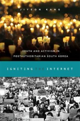 Cover of Igniting the Internet