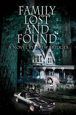 Book cover for Family Lost and Found