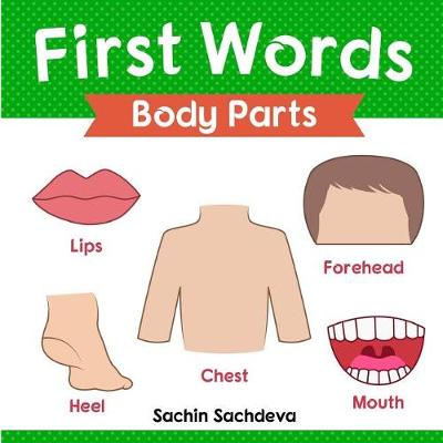 Book cover for First Words (Body Parts)