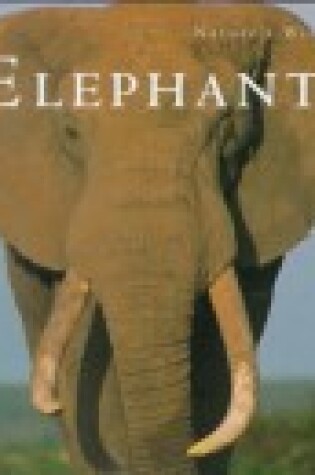 Cover of Elephants