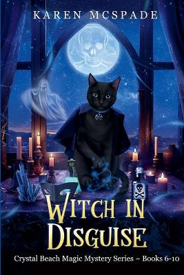 Book cover for Witch In Disguise
